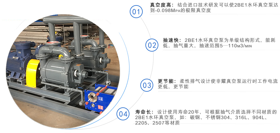 2BE1系列水環(huán)式真空泵組(圖1)